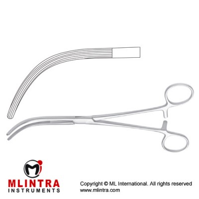 Crafoord-Sellors Haemostatic Forceps Fig. 2 Stainless Steel, 24 cm - 9 1/2"